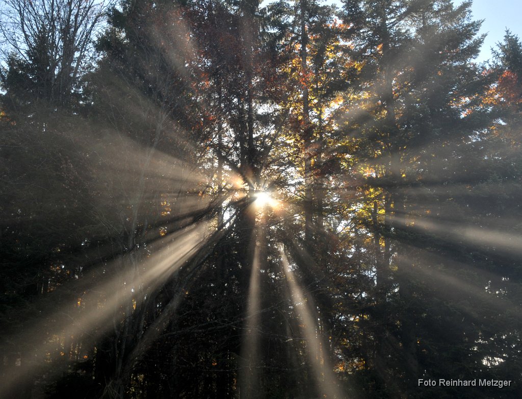 2010-10-09_5564 Herbst 2.jpg